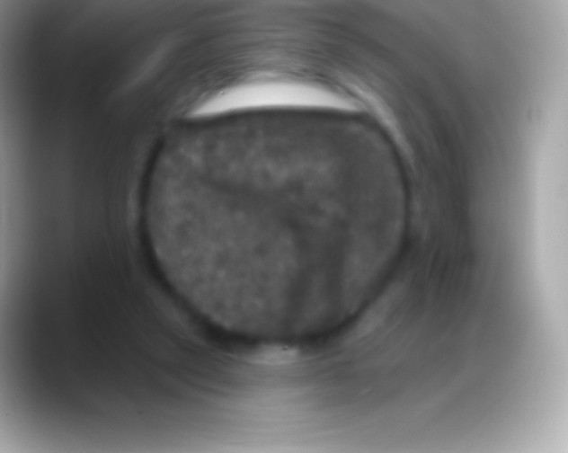 X0000088140257200706041342