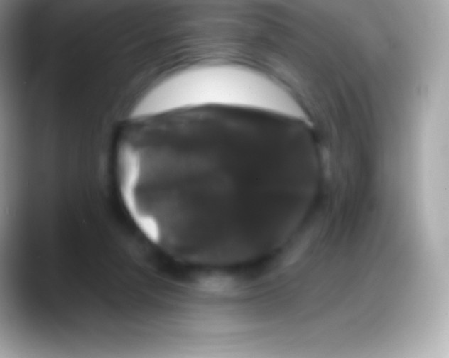 X0000088140258200706041342