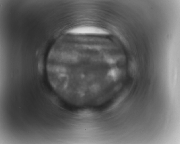 X0000088140259200706041342