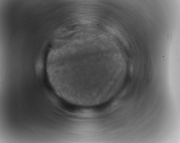 X0000088140260200706041342