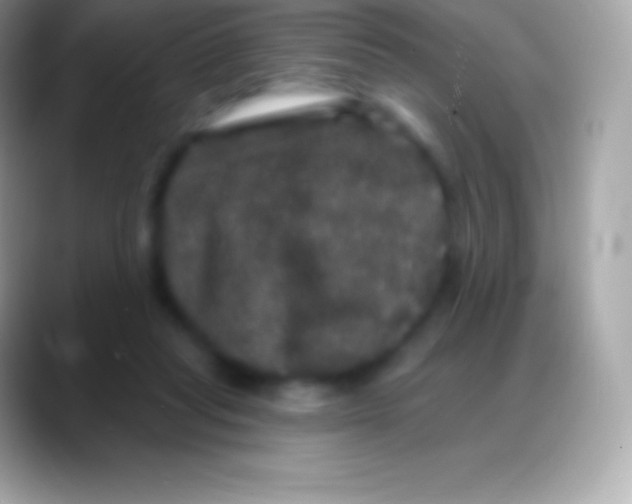 X0000088140261200706041342