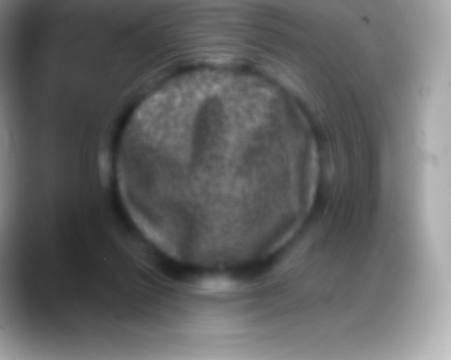 X0000088140262200706041342