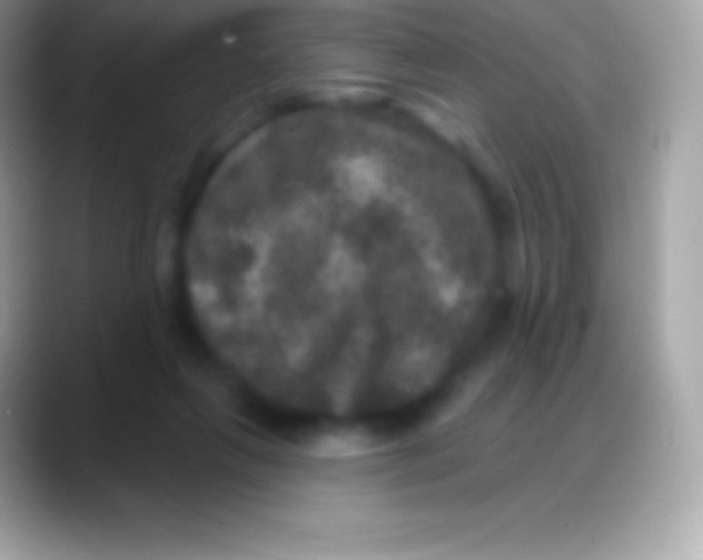 X0000088140263200706041342