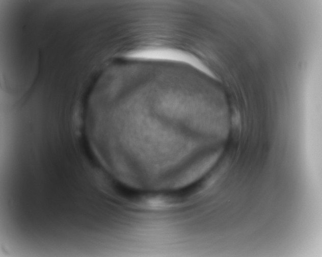 X0000088140264200706041342