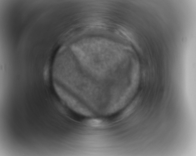 X0000088140265200706041342