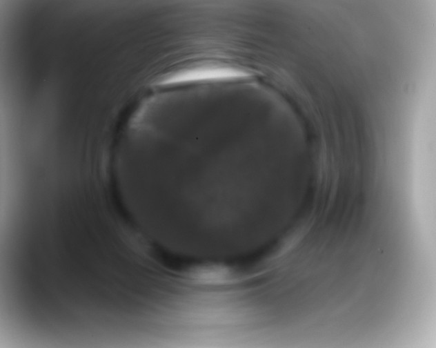 X0000088140266200706041342