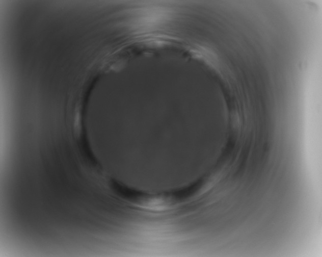 X0000088140267200706041342