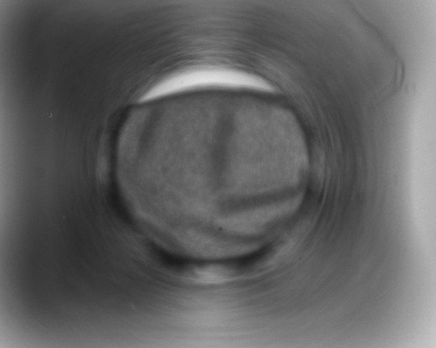 X0000088140268200706041342