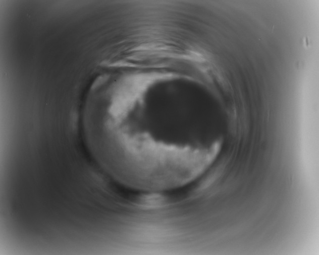 X0000088140269200706041342