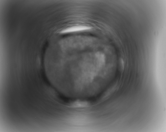 X0000088140270200706041342