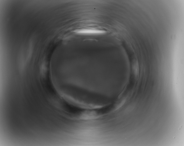 X0000088140271200706041342