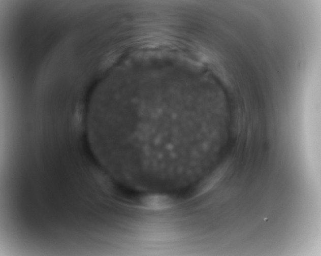 X0000088140273200706041342