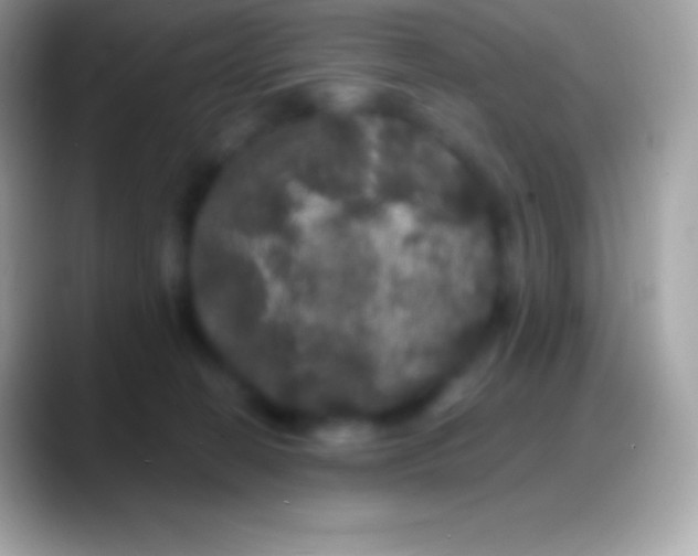 X0000088140274200706041342