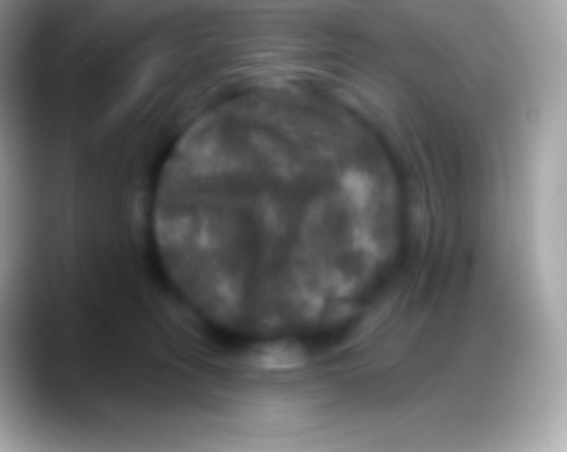 X0000088140275200706041342