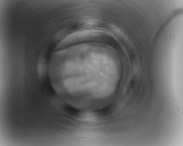 X0000088140276200706041342