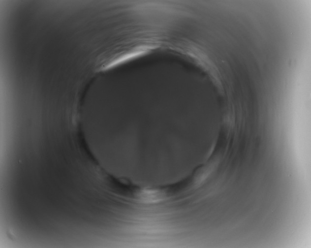 X0000088140277200706041342