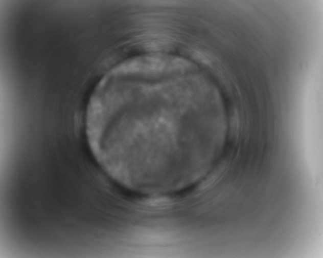 X0000088140278200706041342