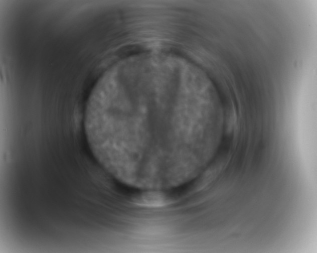 X0000088140279200706041342