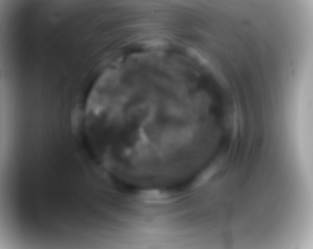 X0000088140281200706041342