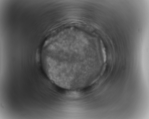 X0000088140282200706041342