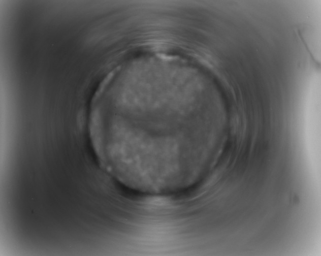 X0000088140283200706041342