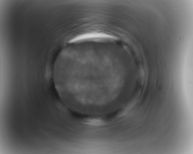 X0000088140284200706041342