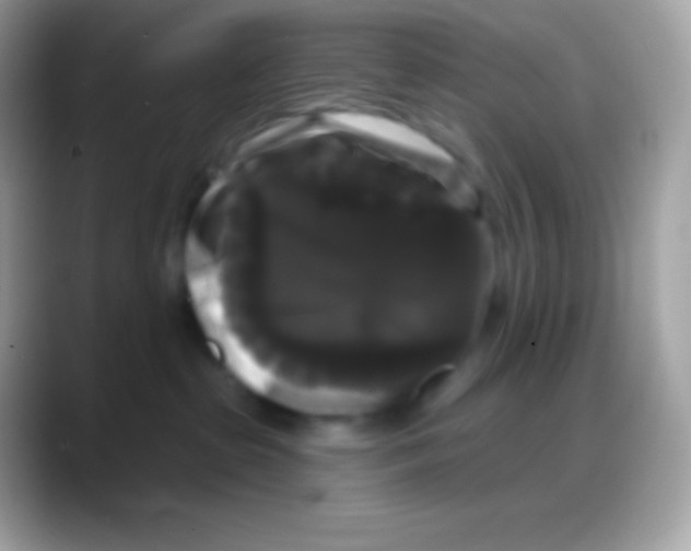 X0000088140285200706041342