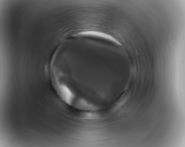 X0000088140286200706041342