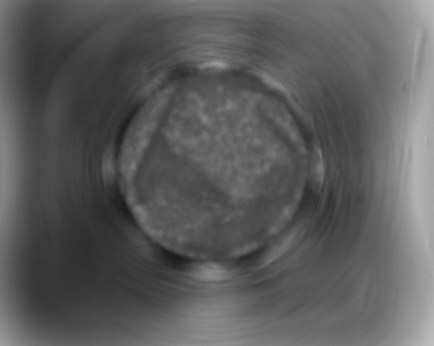 X0000088140287200706041342