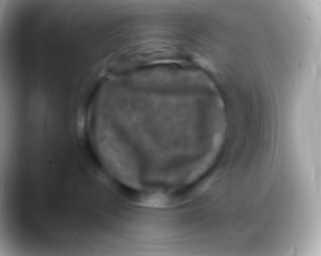 X0000088140288200706041342