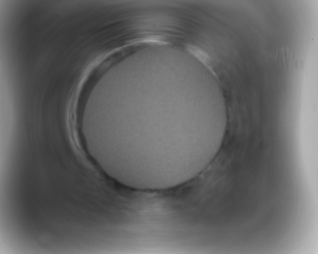 X0000088140289200706041342