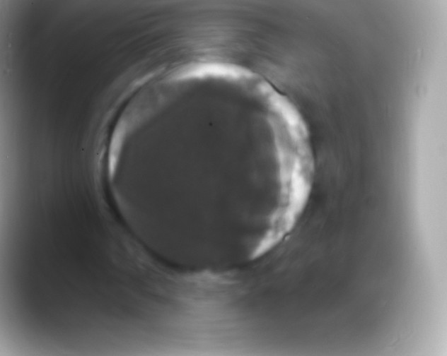 X0000088140290200706041342