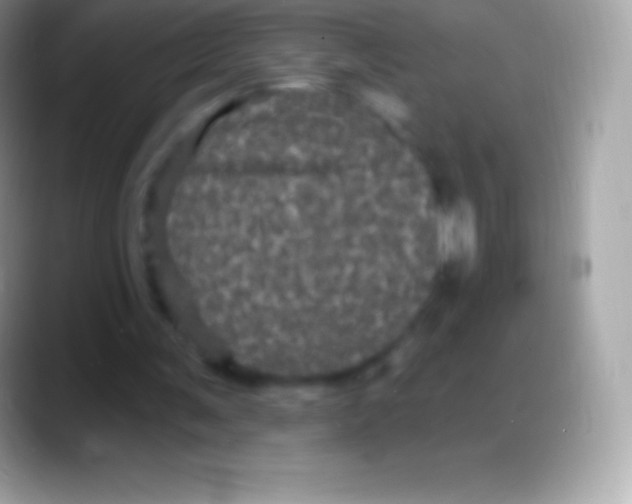 X0000088140291200706041342