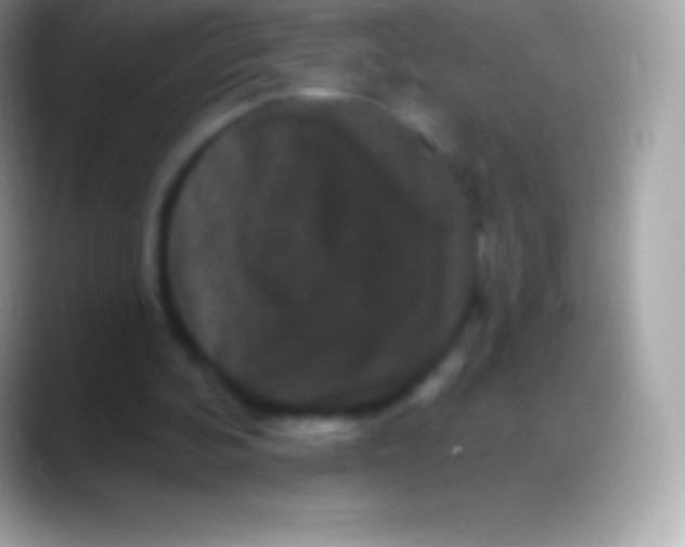 X0000088140292200706041342