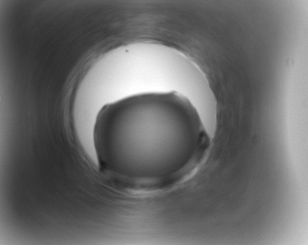 X0000088140293200706041342