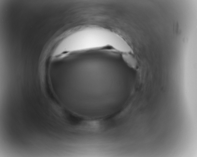 X0000088140295200706041342