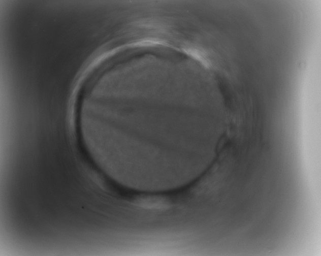 X0000088140296200706041342