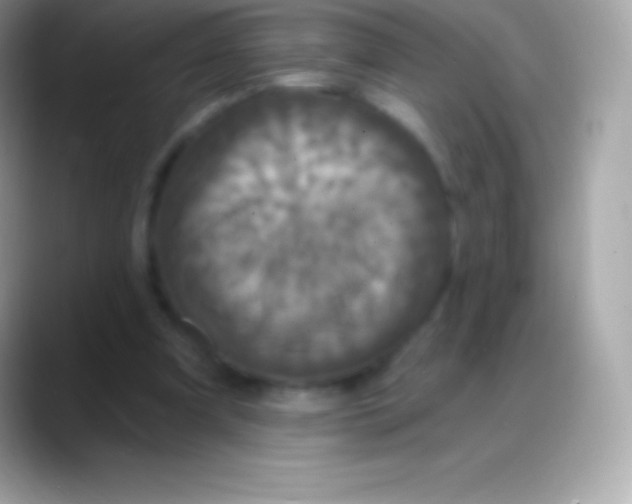 X0000088140297200706041342