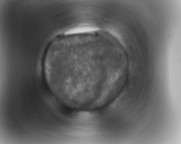 X0000088140298200706041342