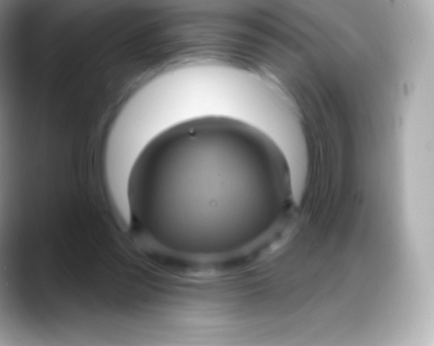 X0000088140301200706041342