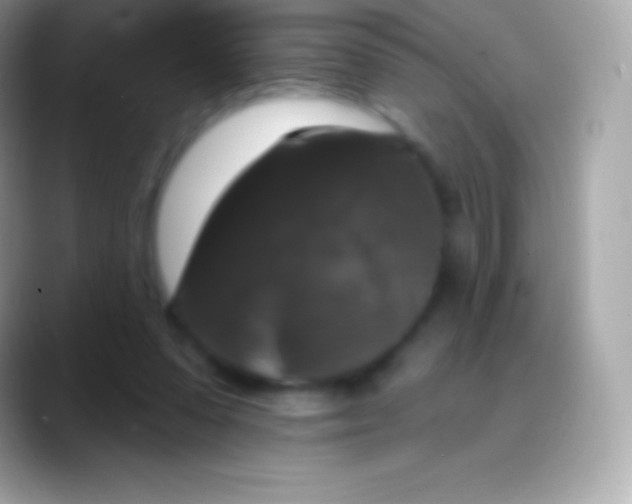 X0000088140303200706041342