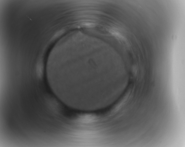 X0000088140304200706041342