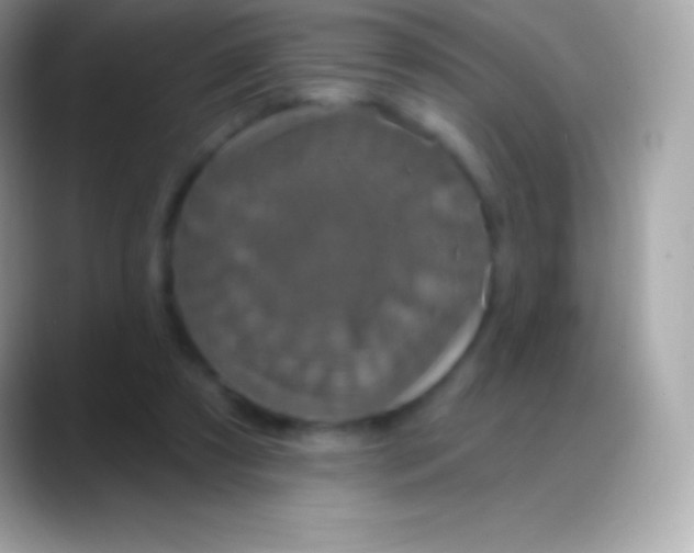 X0000088140305200706041342