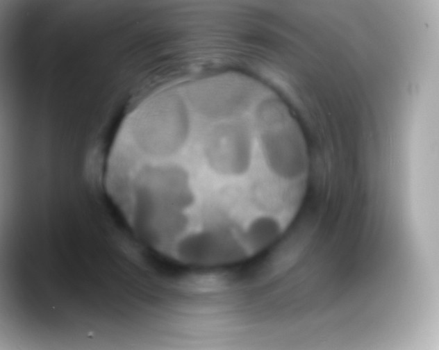 X0000088140307200706041342