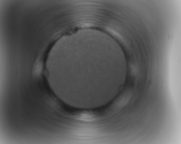 X0000088140308200706041342