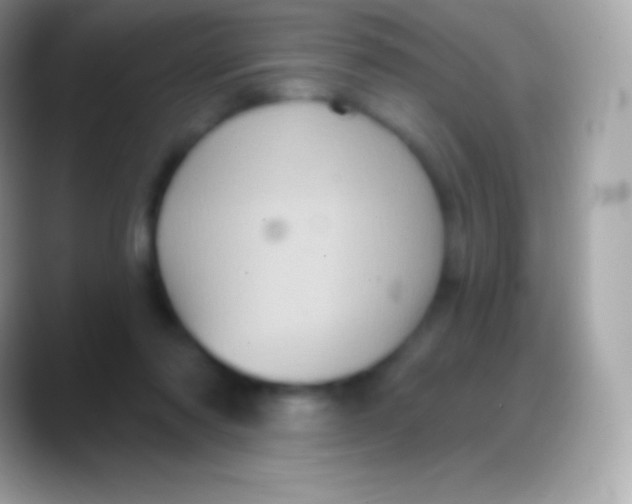 X0000088140310200706041342