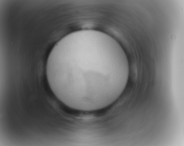 X0000088140311200706041342