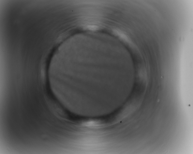 X0000088140312200706041342