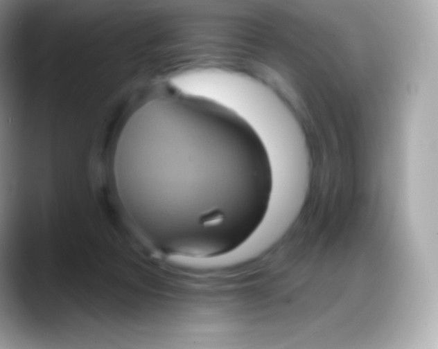 X0000088140313200706041342