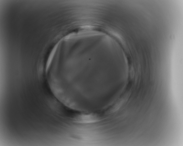 X0000088140314200706041342